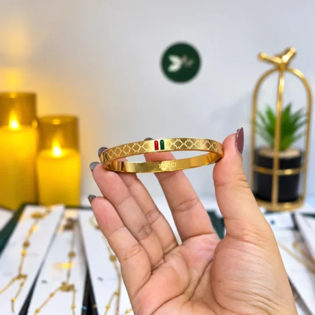 Stainless Steel Gucci Bangle Best Price in Pakistan