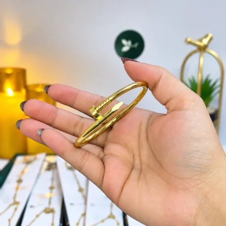 Stainless Steel Nail Cartier Price in Pakistan