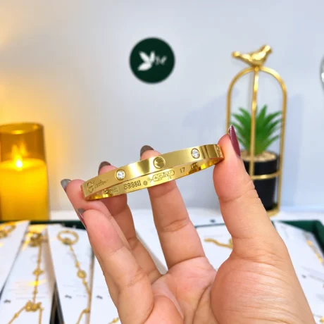 Stainless Steel Golden Cartier Price in Pakistan
